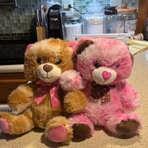 Adorable Pink and Brown Teddy Bear Set